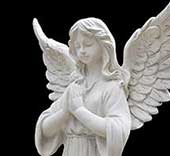 Delhi Tarot - Angelic Reading