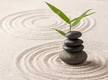 Delhi Tarot - Life and Wellness Coaching